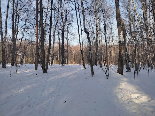 Лосиный остров