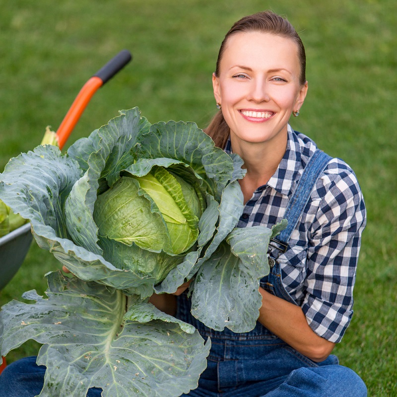 Сода в помощь огороду!