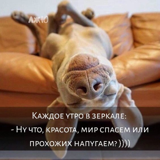 Смех – лучшее средство для поднятия настроения Смех – лучшее средство для поднятия настроения