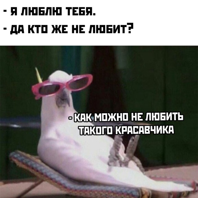 Подборка прикольных картинок Подборка прикольных картинок смешные картинки