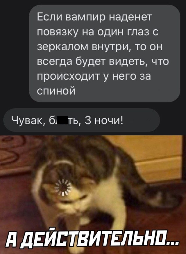 Свежие фотоприколы и смешные картинки 