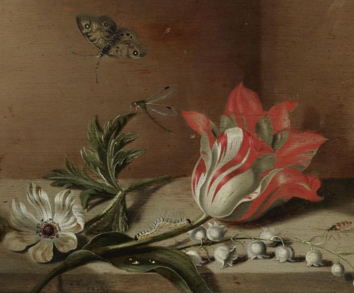 Якоб Маррель «Натюрморт с цветами и насекомыми на деревянном столе»
