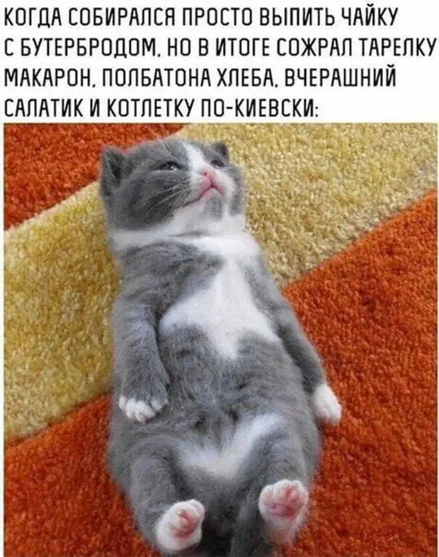 Женщины, притащить мужика к алтарю – это вам не за конями гоняться, останавливать их на скаку и по горящим избам метаться! Женщины, притащить мужика к алтарю – это вам не за конями гоняться, останавливать их на скаку и по горящим избам метаться! говорит, когда, связь, мастер, интимную, очень, счастье, отвечает, козел, положишь, гроба, любовницы, столетия, своего, видишь, юбилярша, стоятВ, очереди, провожают, участковому