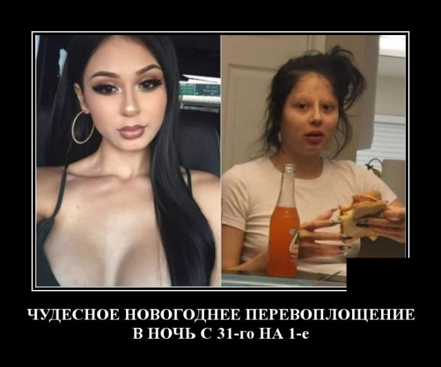 Вот что мне нравится в яблоках, так это гусь и кальвадос!