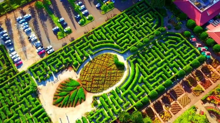  dailyoverview.tumblr.com.