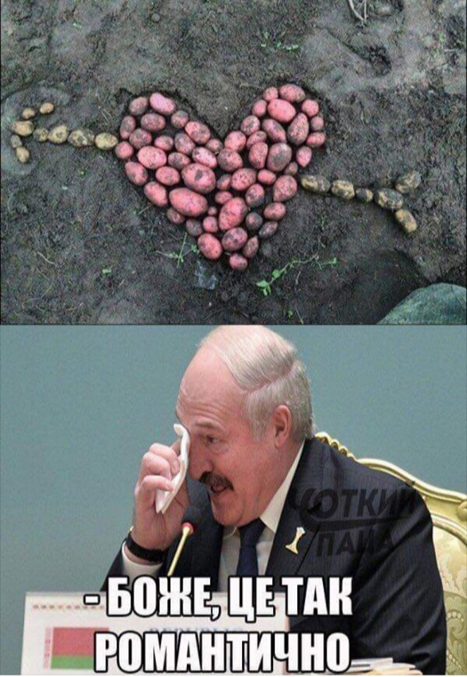 С какой стороны тарелки должен лежать телефон согласно этикету? С какой стороны тарелки должен лежать телефон согласно этикету? анекдоты,веселье,демотиваторы,приколы,смех,юмор