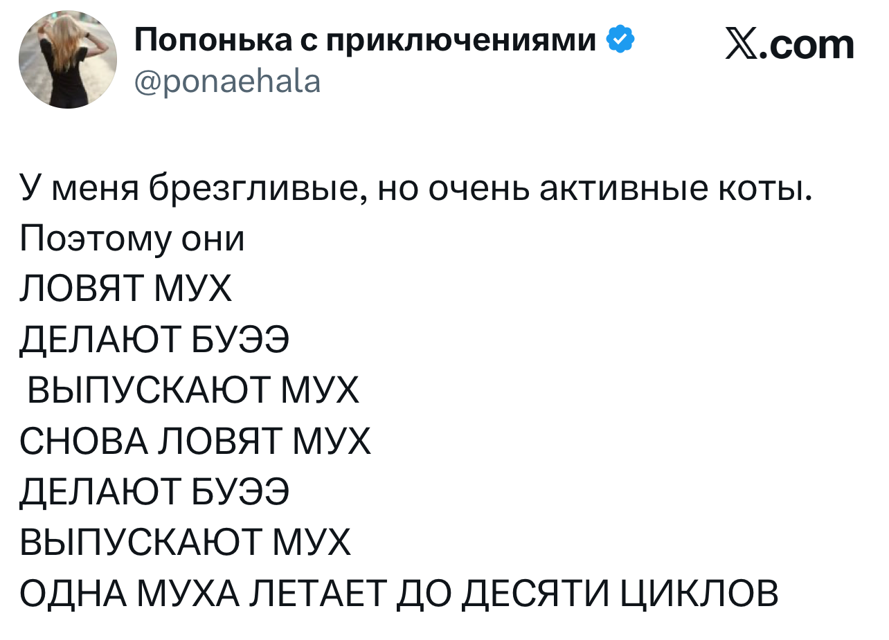 Лучшие шутки дня из X (бывшего Твиттера)
