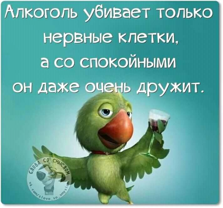 Платил штраф в ГИБДД, терминал наотрез отказался принимать мятую купюру… Юмор,картинки приколы,приколы,приколы 2019,приколы про