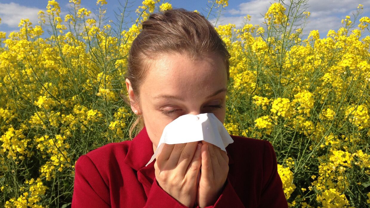 Аллергия на траву: из-за чего она возникает и как облегчить симптомы