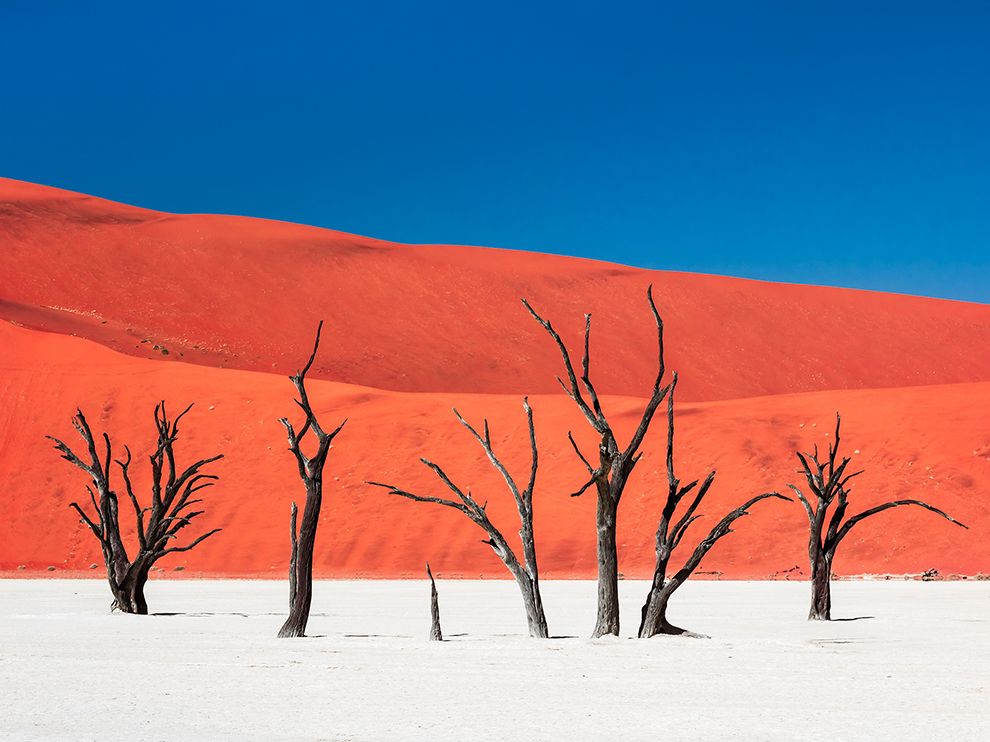 11. Остров тишины и тепла. Пустыня Намиб, Африка