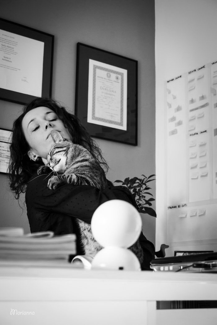 Когда пушистые комочки урчат и радуются Когда пушистые комочки урчат и радуются