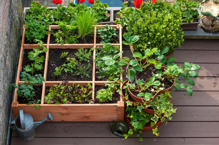 Идеи контейнерного сада, контейнерное садоводство от и до чтобы, растений, вашего, Используйте, можете, использовать, также, больше, контейнерный, будет, садовых, качестве, почвы, добавить, горшки, более, немного, нужно, контейнеры, вариант