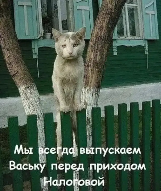 Женщины, притащить мужика к алтарю – это вам не за конями гоняться, останавливать их на скаку и по горящим избам метаться!