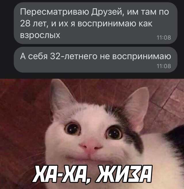 Подборка прикольных картинок Подборка прикольных картинок приколы,смешные картинки,юмор