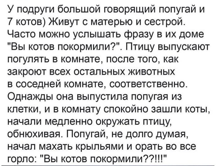 Пока я думал, куда потратить деньги, они сами куда-то все потратились Пока я думал, куда потратить деньги, они сами куда-то все потратились чтобы, Вовочка, будет, твоей, находить, умением, своим, славятся, пассажиров, родители, такое, обращается, Доброе, уверены, стёр—, снимал, веритьОкончание, дважды, срока, бифидобактерии