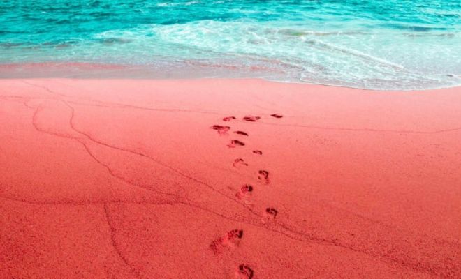 Красный пляж в Иране: на видео он выглядит как берег океана с другой планеты Ормуз, острова, остров, готовы, находится, Красном, пляже, многие, туристы, большое, Когда, количество, частиц, пески, серебра, северовостоке, отдают, содержат, уникальный, достопримечательность
