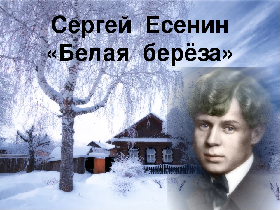 Есенину – 125! «Белая берёза». Песня