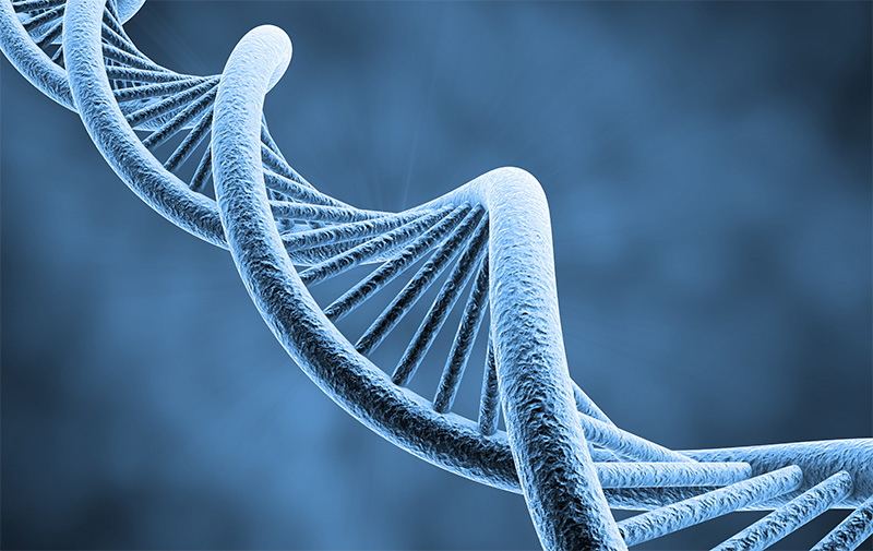 Генетик Брюс Липтон: сила мысли меняет генетический код человека
