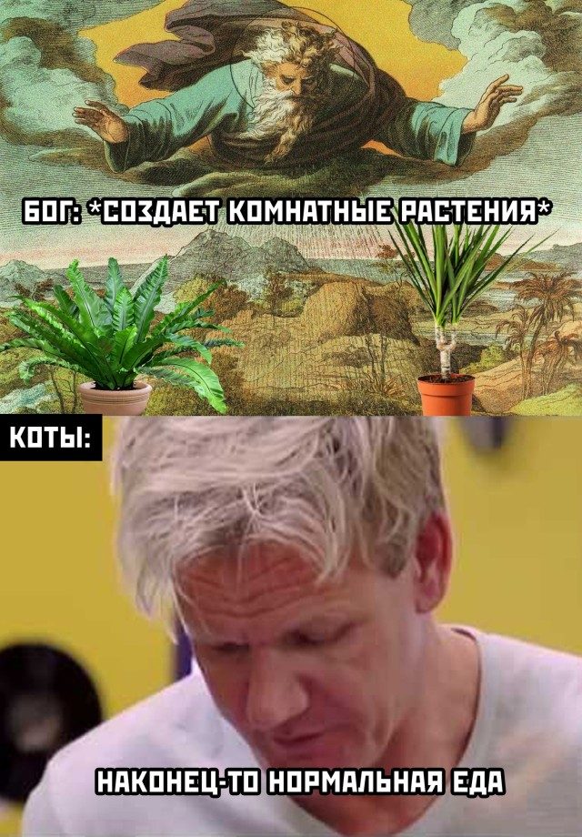 Весело и прикольно Весело и прикольно