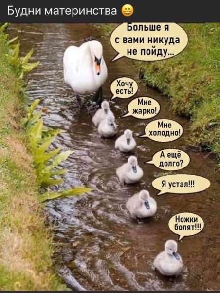 Шутки для тех, кто не любит скучать дома 