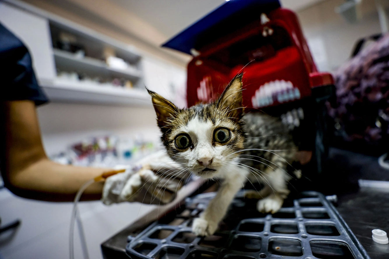 Горящая Турция 2021 Горящая Турция 2021 Путешествия,фото