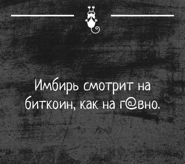 Шутки для тех, кто не любит скучать дома 