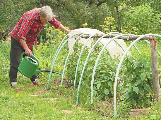Садоводство в России на грани смерти, заявил предводитель российских дачников