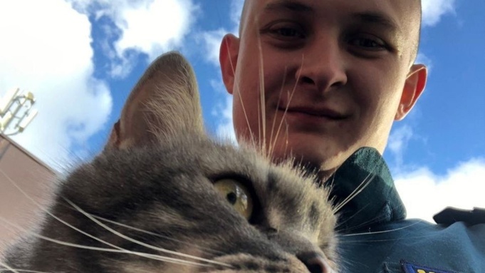 Сотрудник МЧС в Новосибирске спас кота, три дня просидевшего на дереве