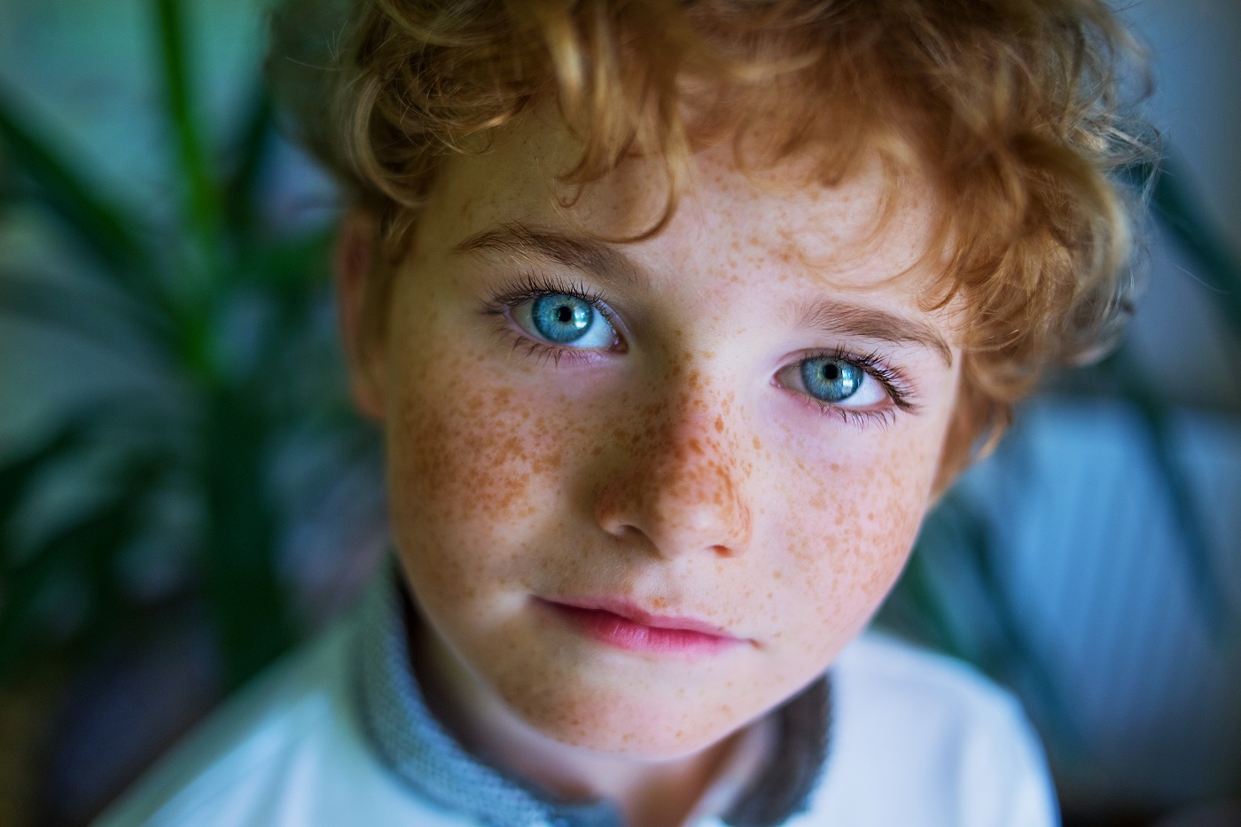 Из за чего рождаются голубоглазые люди. A boy with Blue Eyes. Blue-eyed boy. Boy with Freckles. Freckles face.