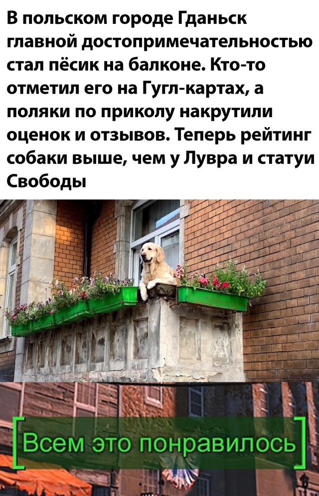 Порция позитива в подборке прикольных картинок и фоток Порция позитива в подборке прикольных картинок и фоток