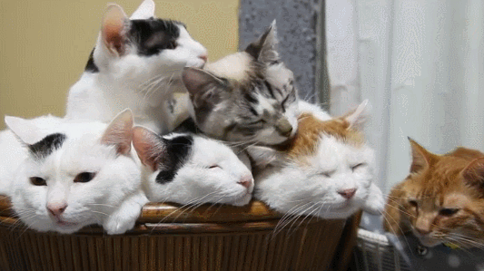 Позитивные и веселые гифки Позитивные и веселые гифки