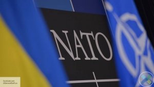 Представитель Порошенко в Раде: Украина не будет проводить референдум о вступлении в НАТО – все давно решил майдан