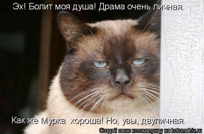 Мысли вслух :)