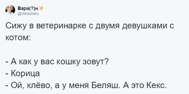 Пользователи соцсетей о необычных кличках домашних питомцев юмор