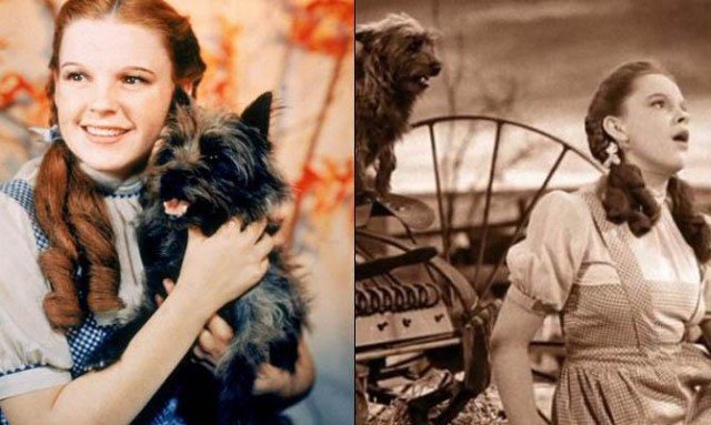 Интересные факты о некоторых фильмах Интересные факты о некоторых фильмах юмор