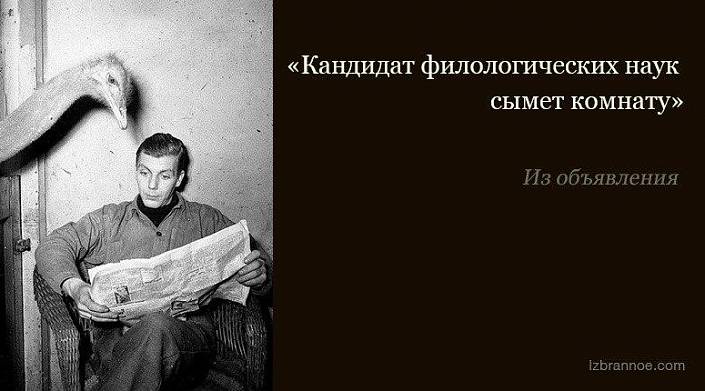 15 объявлений, которые обязательно привлекут внимание