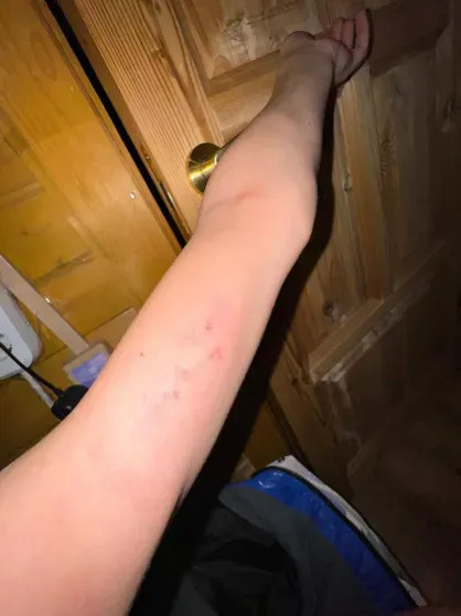 Елена Костылёва