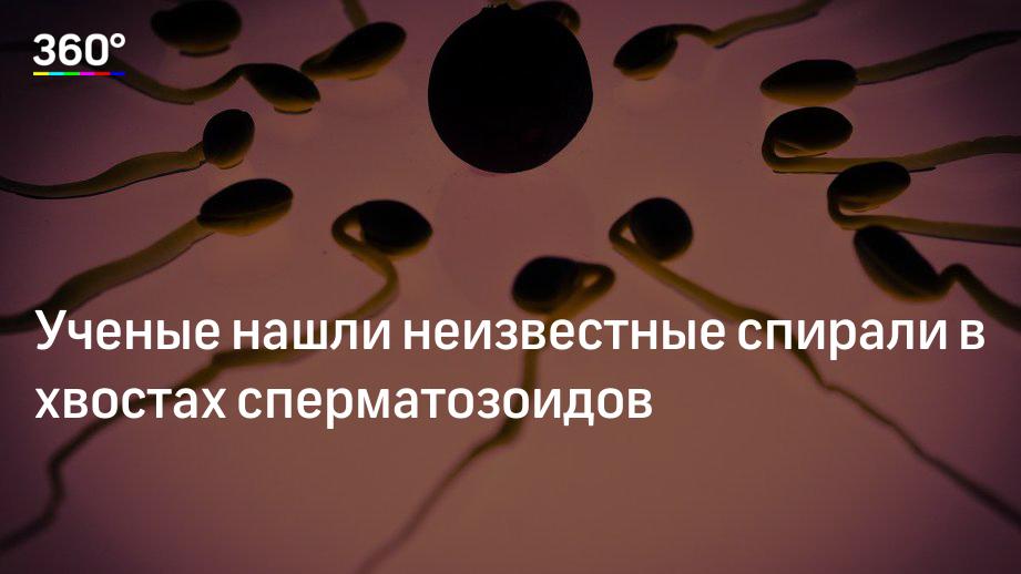 Ученые нашли неизвестные спирали в хвостах сперматозоидов