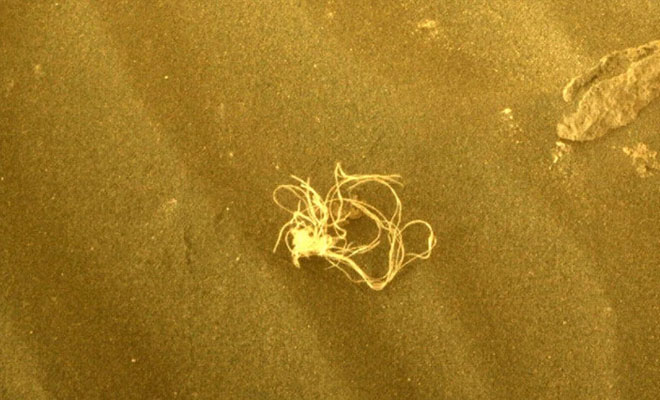 В пробах грунта марсоход нашел нить: артефакт выглядит как засохший организм или искусственный объект