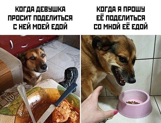 Прикольные мемы про отношения Прикольные мемы про отношения позитив,смешные картинки,юмор