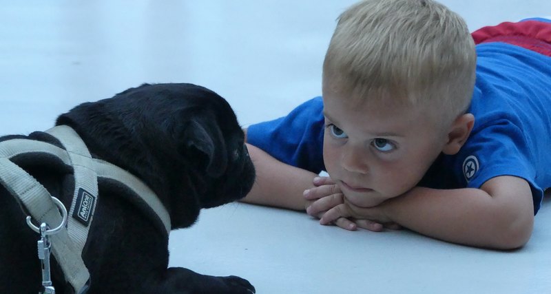Дети и собаки: десять научных правил