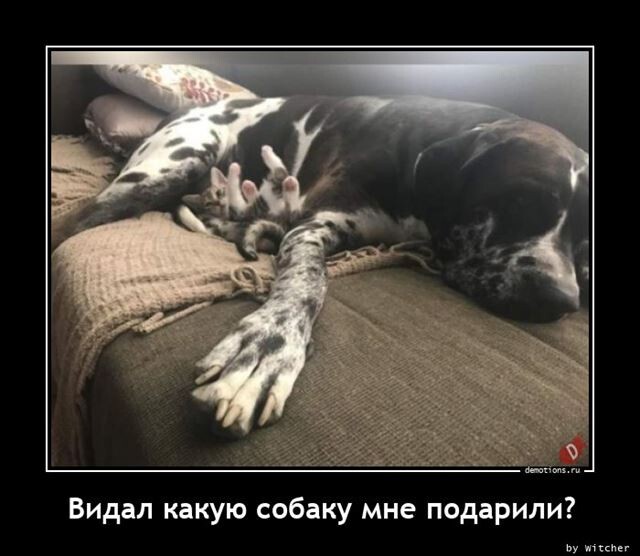 Ежедневная порция прикольных демотиваторов Ежедневная порция прикольных демотиваторов