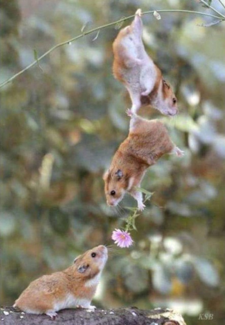 Подборка прикольных и забавных фотографий Подборка прикольных и забавных фотографий