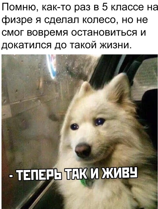 Подборка прикольных картинок Подборка прикольных картинок смешные картинки