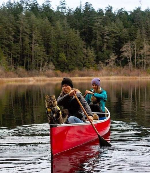 Подборка картинок. Дневной выпуск (50 фото)