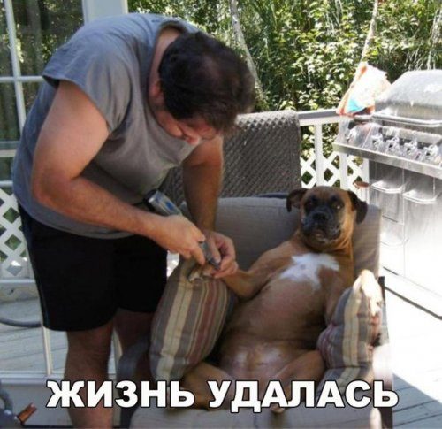 Новая порция фотомемов