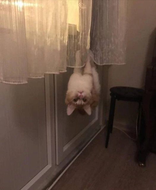Что-то тут не то... Что-то тут не то...
