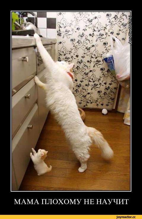 ������� ����� � ����