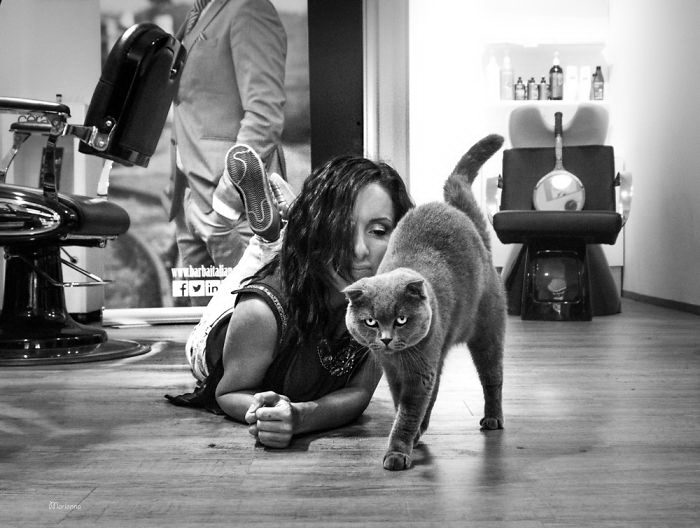 Когда пушистые комочки урчат и радуются Когда пушистые комочки урчат и радуются