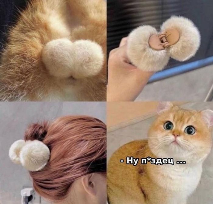 Прикольные картинки с надписями и холодец 